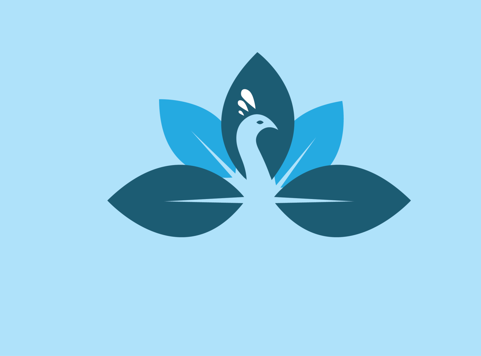 Bird Logo by RAKIBUL on Dribbble