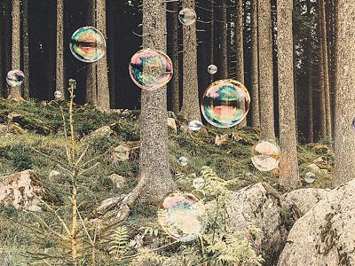 Soapbubble Studies