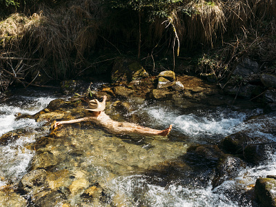 People without Clothes nude outdoor photography river swimming woman