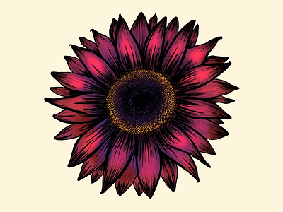 Chianti Sunflower Full Color