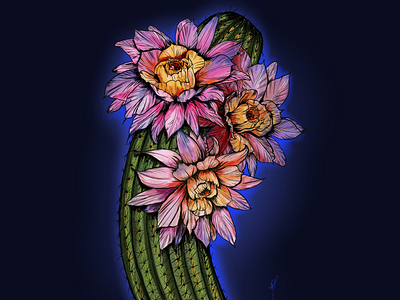 Blooming cactus botanical cactus floral illustration painting