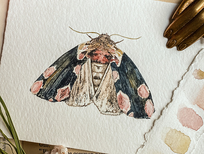 Peach Blossom Moth botanical design illustration moth painting portrait watercolor