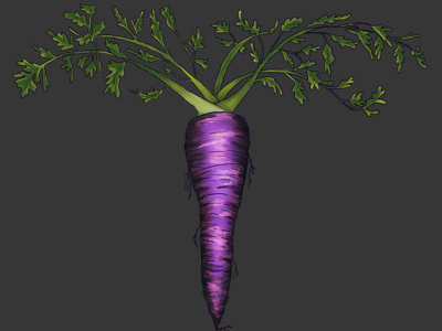 Purple Carrot editorial food illustration