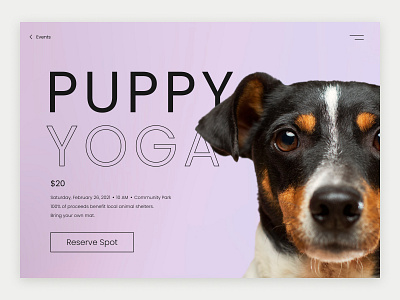 Daily UI 070 daily ui dailyuichallenge dogs