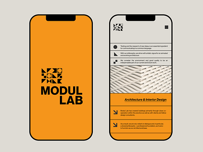 Modul Lab Identity app branding design graphic design identification identity identity design logo logo design typography ui ux vector web design