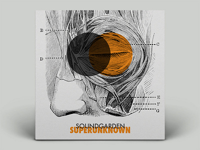 Soundgarden - Superunknown futuralbum