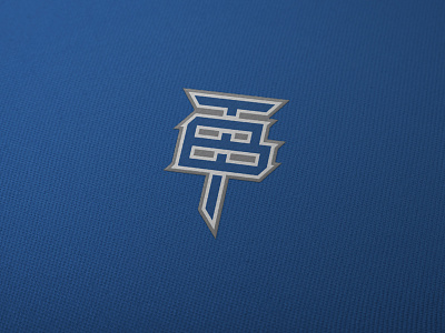 Monogram T & B blue logo design logo sport logotype monogram