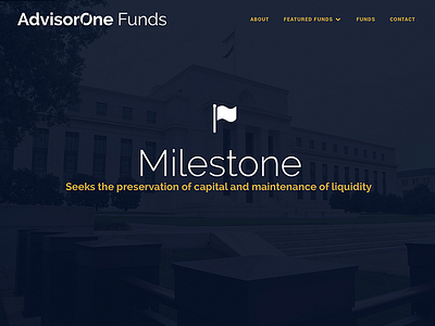 AdvisorOne Funds brand clean design emblem financial iconography layout logo