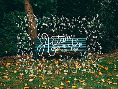 Autumn Hand Lettering graphicdesign handlettering illustration photography typography wearedhd