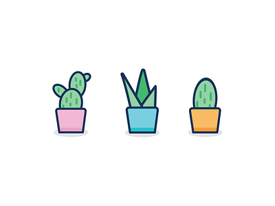 Plants cactus graphicdesign illustration plants vector