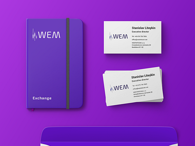 WEM branding branding logo wem