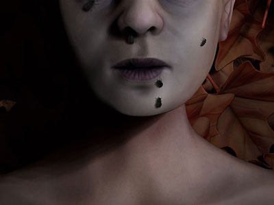 lord of flies 3d boy dead flies leaf lord of