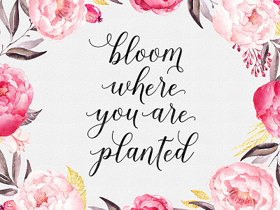 Bloom where you are planted by Visual Hierarchy on Dribbble