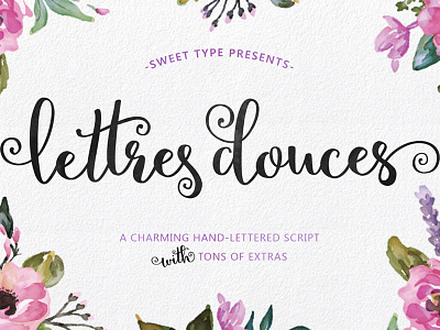 Lettres Douces Hand-Lettered Script calligraphy font fonts handcrafted handwritten script typeface typography