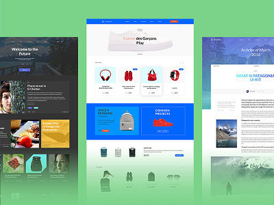 Patagonia sample websites ecommerce photoshop psd template ui kit web design website