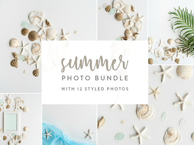 Summer Photo Bundle Seashells banner bundle graphic image photo seashells summer