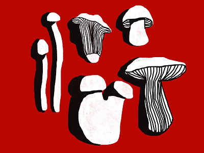 Risotto de champiñones - mushroom risotto draw mushroom type
