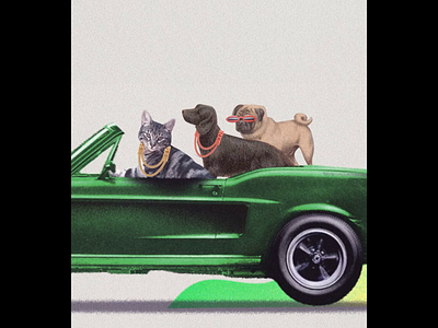 Low rider 2d animation cat colors debut dog illustration ilustracion motion motion graphics