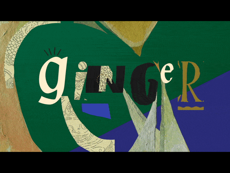 Ginger for Jacket 2d animation debut stopmotion