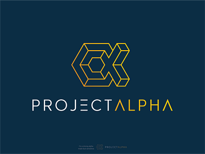 PROJECT ALPHA 3d adobe animation branding company logo creative design geometric geometric logo graphic design illustration illustrator logo minimal logo motion graphics phencils photoshop procreate ui vector