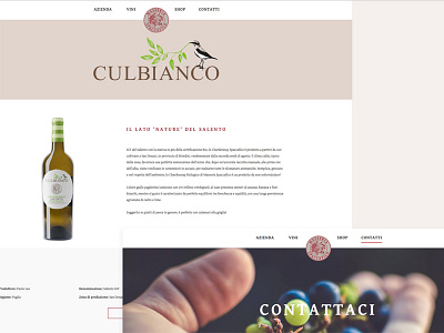 Masseria Spaccafico | Italian Winery cantina contact grapes italian uva vineyard vino website wine winery