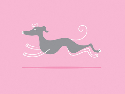 Noodle Doodle dog doodle greyhound italian greyhound noodle pink princess puppy