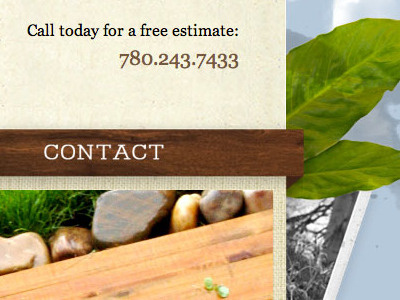 Header for Nature-Inspired Website contact header nature texture web design website design wood