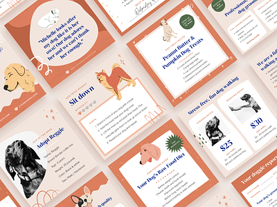 Pet Instagram Posts Template Collection ad ad design ads branding design dogs email design email templates instagram instagram story instagram templates orange pets social media social media design social media templates templates texture
