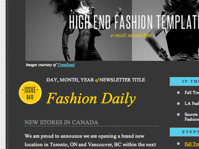 E-mail Template Freebie e mail blast e mail template fashion mail template template times title yellow