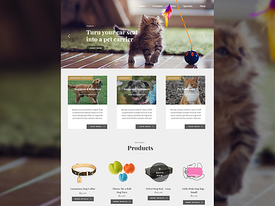 Pet Supplies Landing Page cat dog ecommerce landing page luxury pet food pets playfair display products web design