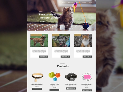 Pet Supplies Landing Page