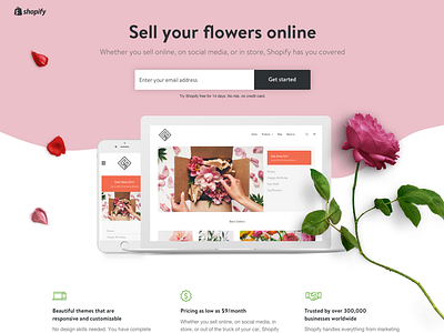 Sell with Shopify – (More) Paid Landers adwords feminine flower flowers lander landing page pink sell shopify