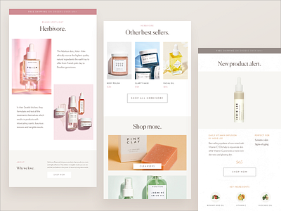 Newsletter Template Designs Themes Templates And Downloadable Graphic Elements On Dribbble