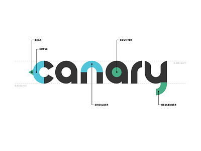 Canary Logo Anatomy branding canary logo logo design logotype type typography