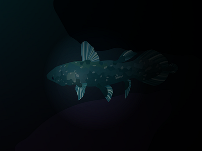 Coelacanth coelacanth deep sea fish illustration