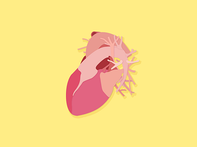 Heart heart illustration medical