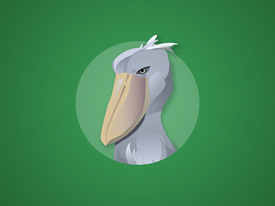 Shoebill bird illustration shoebill