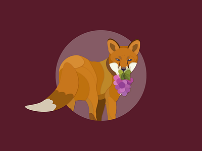 Fox and Grapes aesopica aesops fables animal fox grape illustration mammal