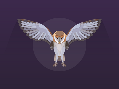 Barn Owl bird illustrator owl works