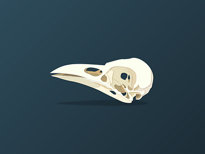 Crow Skull crow illustrator skull works
