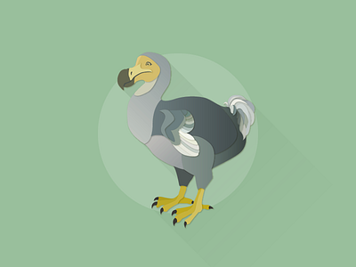 Dodo dodo illustrator works