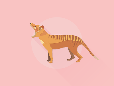 Thylacine illustrator thylacine works