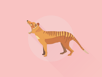 Thylacine