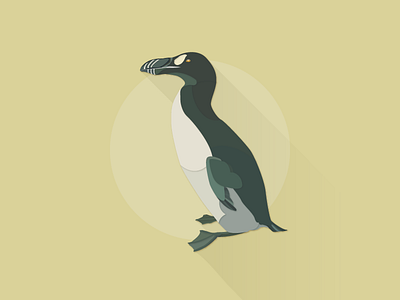 Great Auk