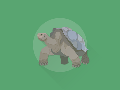 Lonesome George illustrator works lonesome george