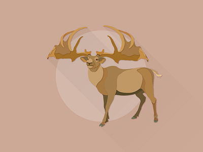 Irish Elk deer elk illustrator works