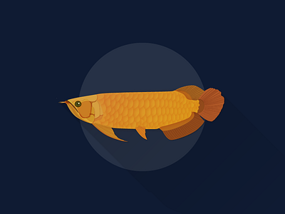 Arowana