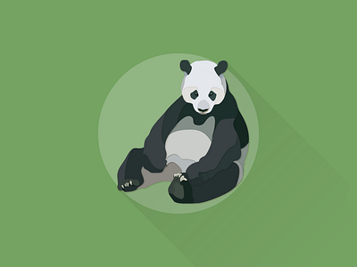 Giant Panda illustrator works