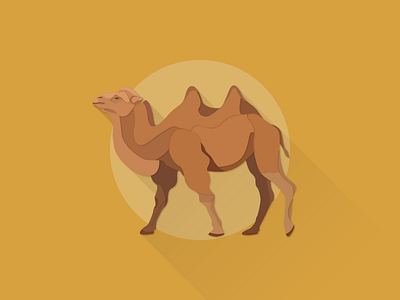 Wild Bactrian Camel illustrator works