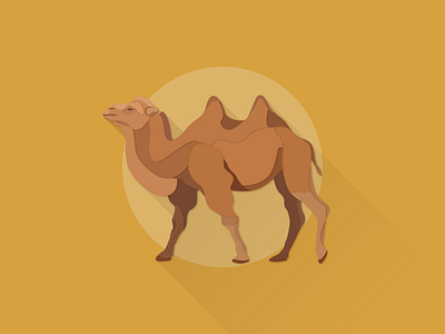 Wild Bactrian Camel